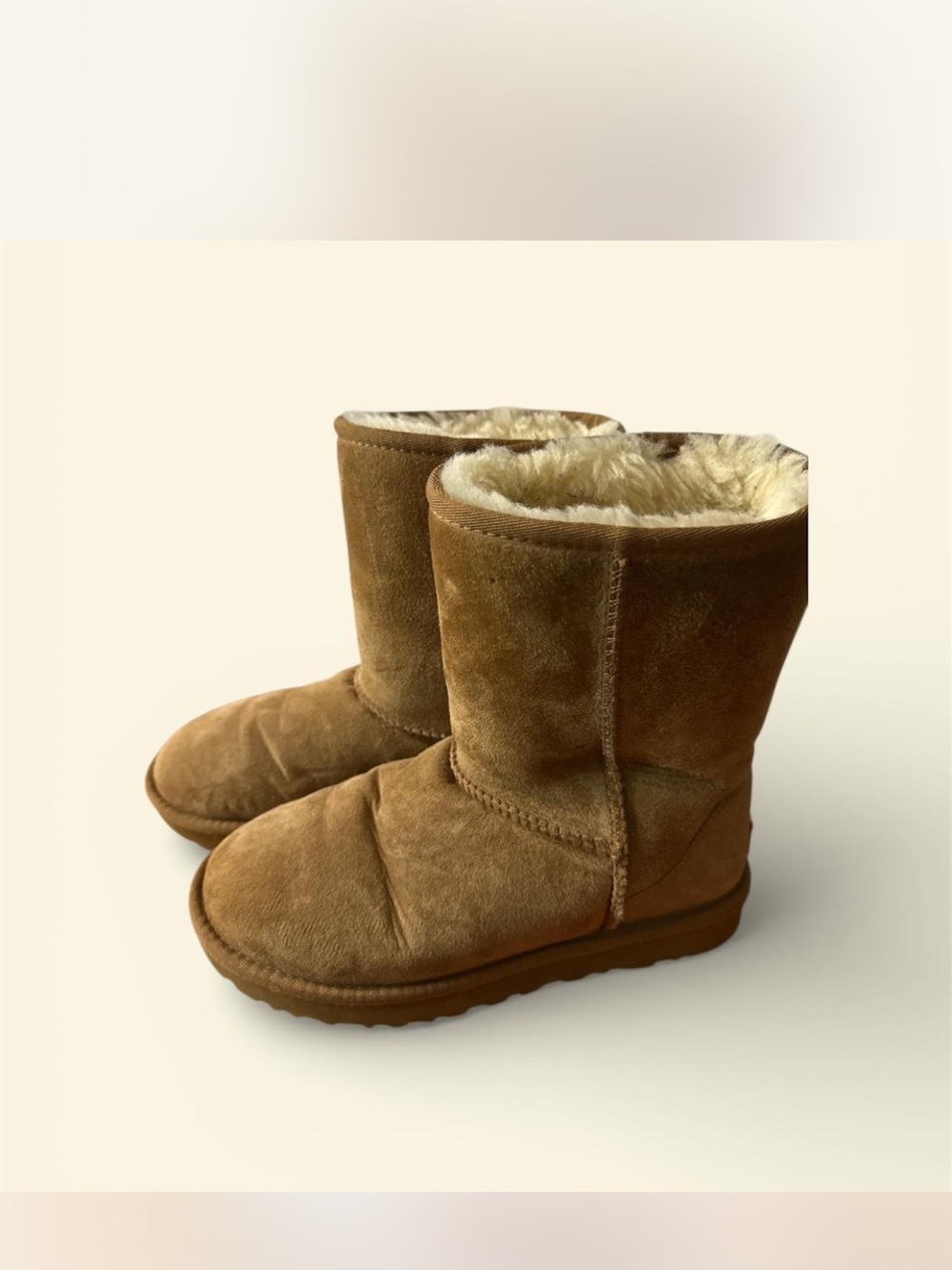 UGGS Plush-Lined Suede Winter Chestnut